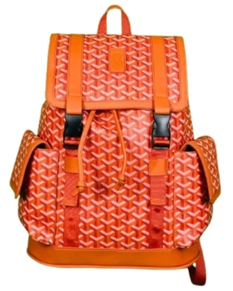 GOYARD BAG WITH CLIPS ORANGE