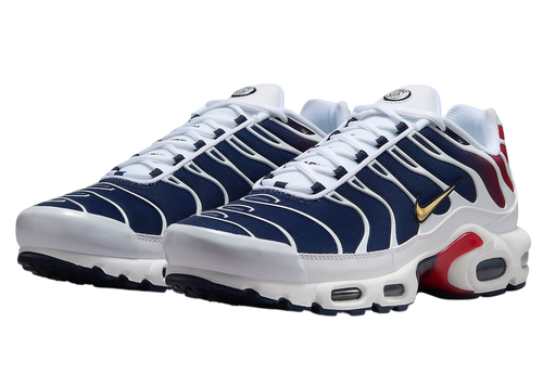 NIKE TN AIR MAX PLUS PSG