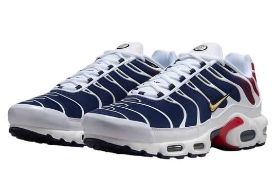 NIKE TN AIR MAX PLUS PSG