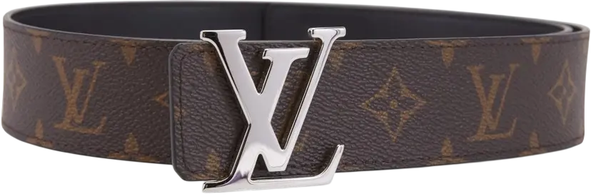 LV Belt Brown And Silver
