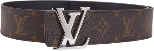 LV Belt Brown And Silver
