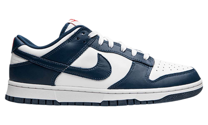 Nike Low Dunk "Valerian Blue"